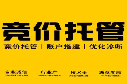 竞价SEM托管案例：提升广告投放效果